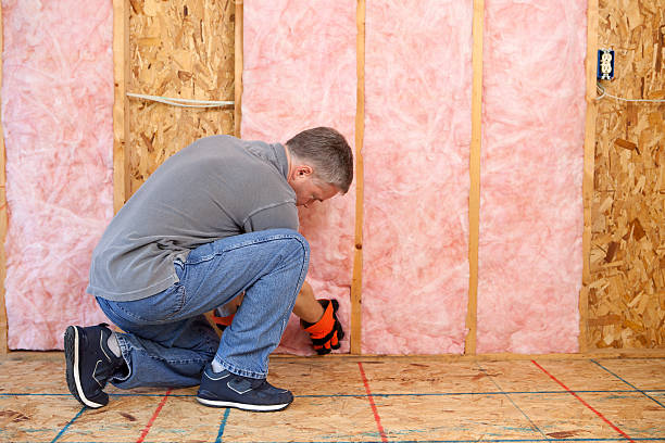 Best Types of Insulation in Oakes, ND