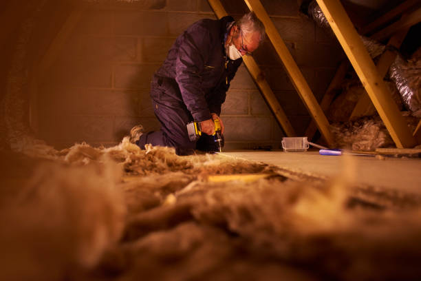 Best Insulation Maintenance and Repair in Oakes, ND